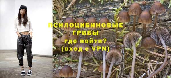 спайс Кадников