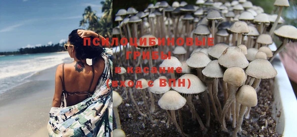 хмурый Карабаново