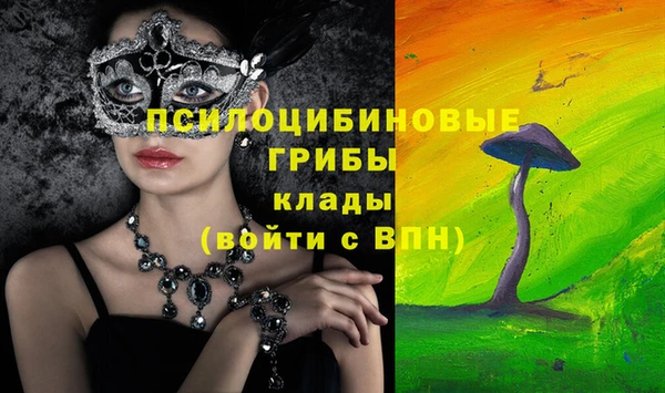 стафф Балабаново